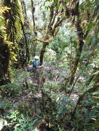 Endlich geht es bergab!