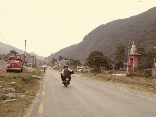 Vorsicht, lebende Tiere an Bord! Andere Varianten, die wir heute gesehen haben: im Kofferaum eines Taxis, auf der Ladefläche eines Pickups, festgebunden auf dem Dach eines öffentlichen Busses 