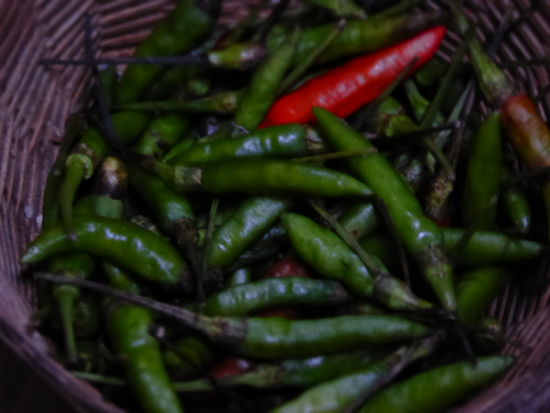 Wir haben chilitechnisch viel vor!