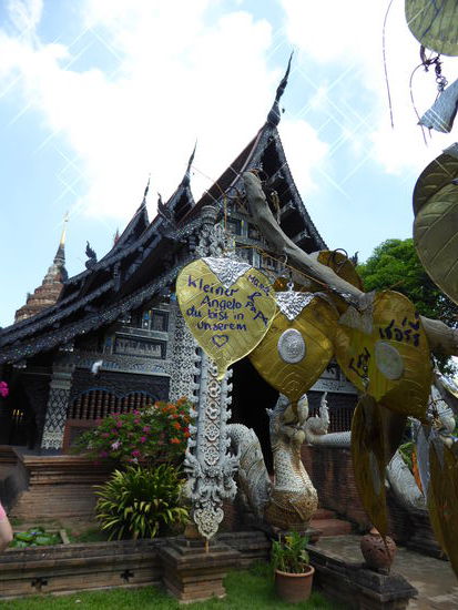 Rder Goldbaum war so schön, wir konnten nicht widerstehen