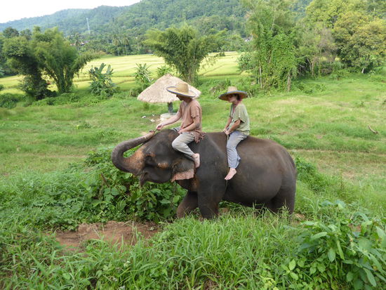 ...mal ein Bisschen reiten!