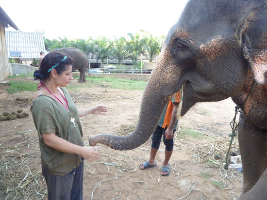Ich habe keine Banane mehr!
