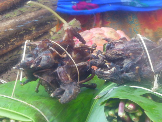 An der Raststätte werden getrocknete Ratten als Snack angeboten (wieder was für Jakob) - aber wohlgemerkt Waldratten