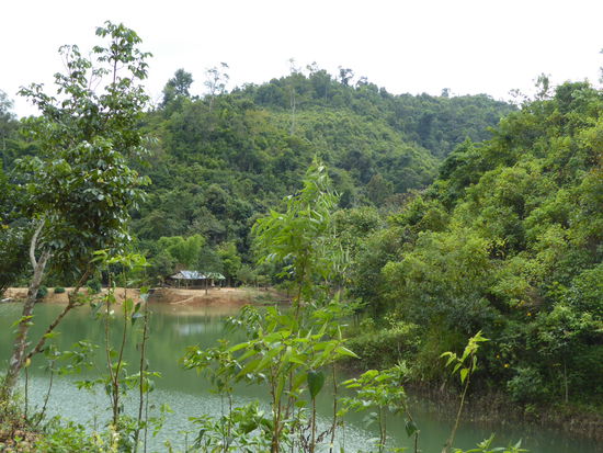 Hübscher See in der Nähe des Wasserfalls
