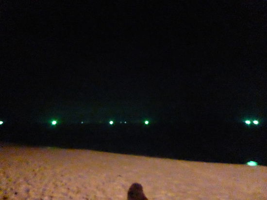 Tintenfisch-Fischer (keine Ufos!)