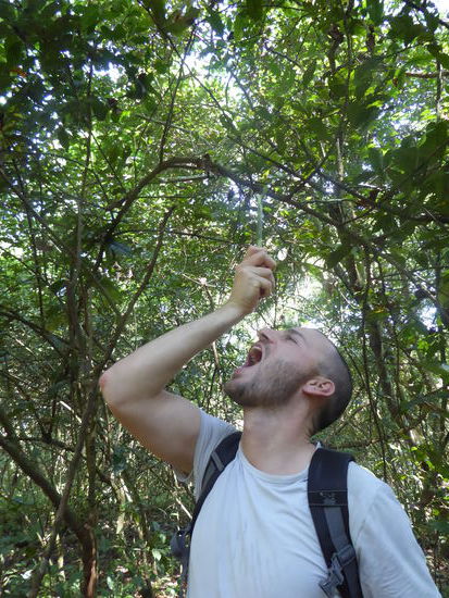 Torbens großer Moment: wie Bear Grills aus einer Blume sauberes Wasser gewinnen