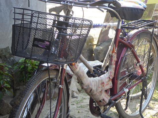 Damit zum Elephant Breeding Center