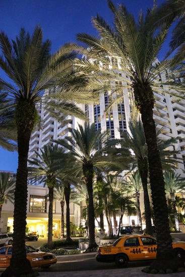 Loews Hotel Miami Beach