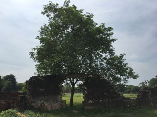 Weniger gut erhaltene Teile der Anlage sind nicht minder schön 