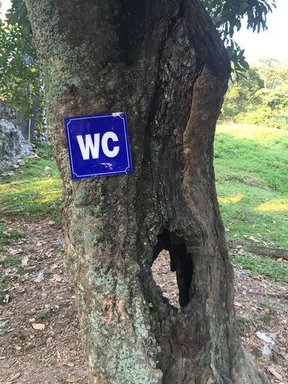 Und so sehen vietnamesische Toiletten aus 