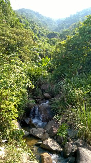 Bäche suchsn sich überall den Weg vom Gipfel bis ins Meer