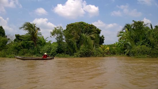 Auch wenn der Melong keine schöne Farbe hat, so gibt es trotzdem einige schöne Bilder 