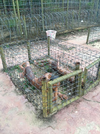 Tiger cages - tagelang mussten Gefangene in den Käfigen liegen und Wind und Wetter ertragen