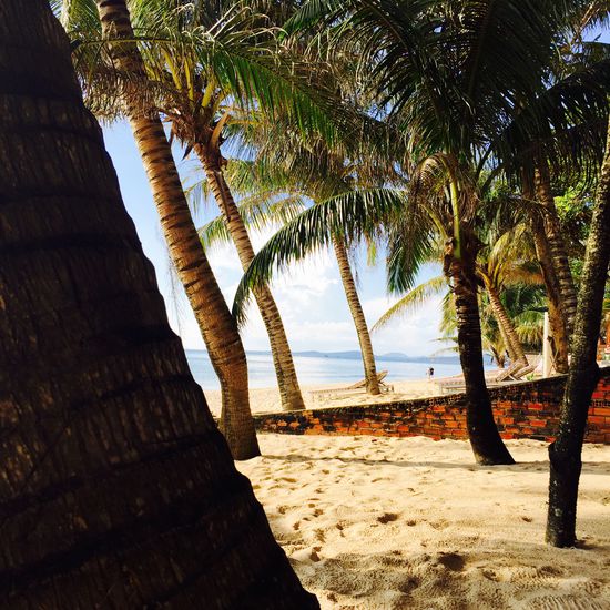 Im Schatten der Palmen kann man wunderbar entspannen 