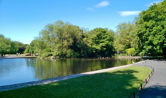Selbst in der Hauptstadt eine grüne Insel