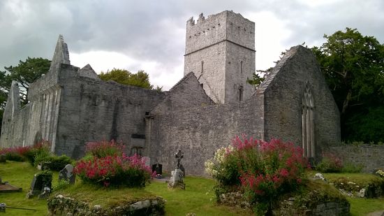 Muckross Abbey