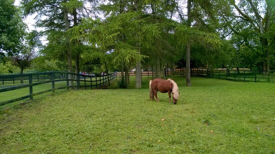Der kleinste Bewohner des Stud