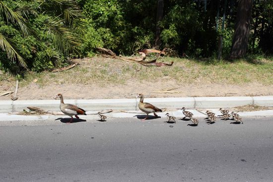 Was man vom Bus aus nicht alles sieht 
