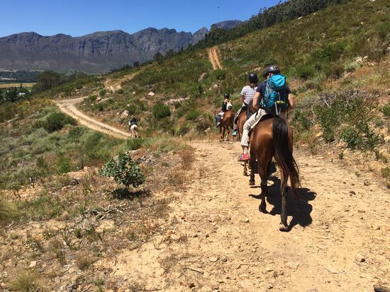 Heute ohne Kamera, die leidet doch auf dem Pferderücken