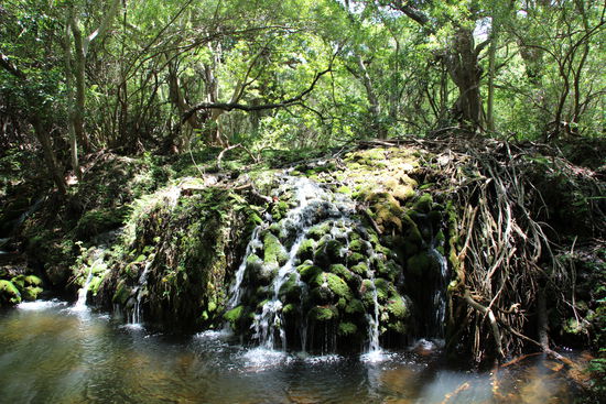 Aber die tollen Anblicke entlohnen einen für die Strapazen