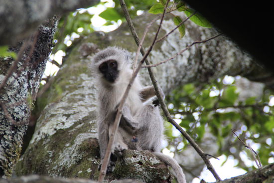 Und abends haben wir noch niedlichen Besuch bekommen 