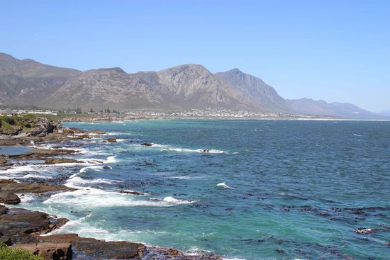 Hermanus