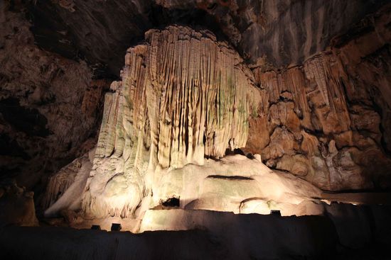 Einer der Millionen Jahre alten Riesen