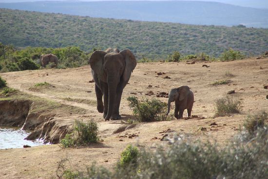 Und wieder Mama &amp; Kind