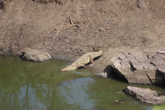 Und schon war es wieder auf Abwegen