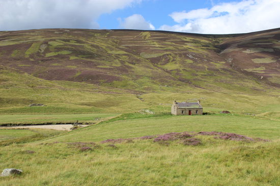 Wer würde hier nicht gern wohnen? 