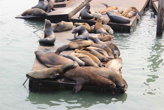 Unser Freunde nochmal von Nahem 