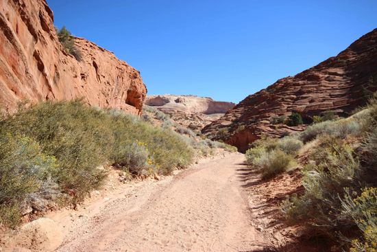 Der Trail durchs Flussbett