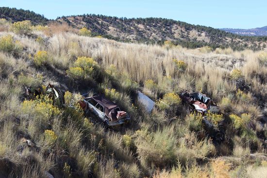 Und dann: ein Autofriedhof neben dem Freeway 