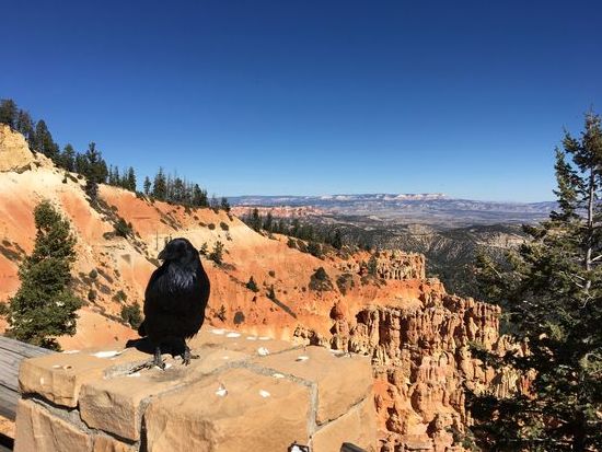 Das Kerlchen saß da völlig unbeeindruckt 