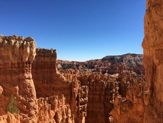 Die ersten Schritte nach unten...