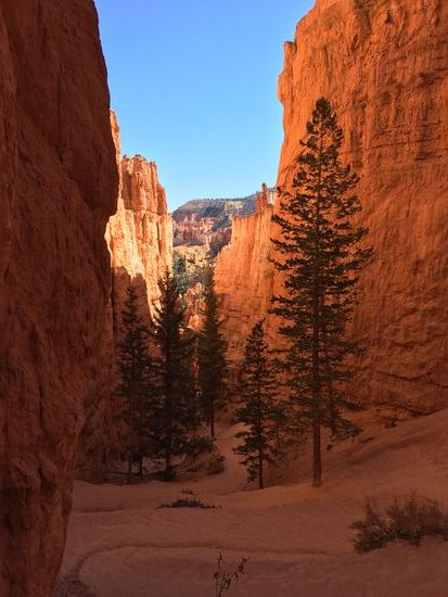 Und wieder hoch...uff 