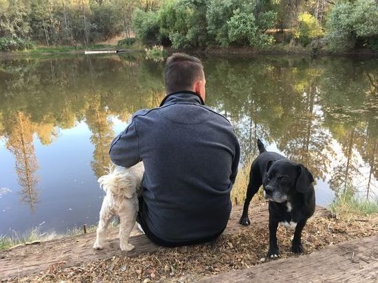 Unsere ständigen Begleiter auf der Farm