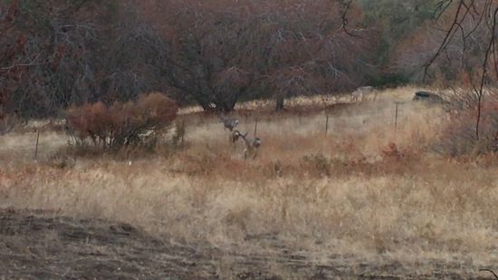 Etwas unscharf, aber ein schöner Ausblick war's