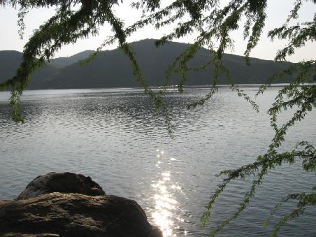 Tiger Lake