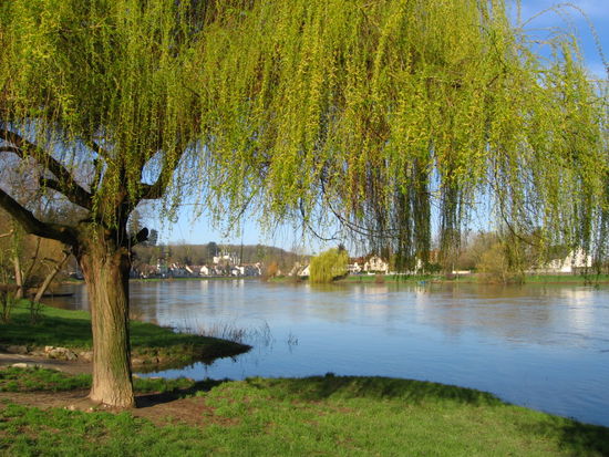 Knatschiges Frühlingsgrün ... echt super!
