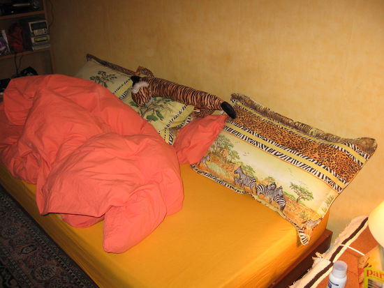 Diese charmanten "Exotik"-Kissen habe ich natuerlich schnellstens in den Kleiderschrank verbannt 