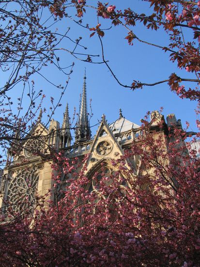 Im Park um Notre Dame herum!