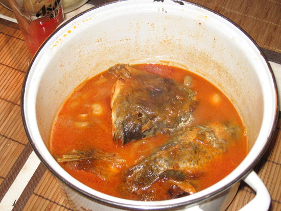 Das Ergebnis ... SCHWEINELECKER!