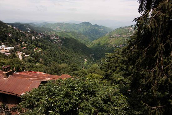 Wunderschönes Shimla!