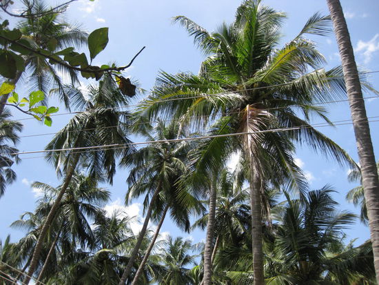 On the road 2 (hier allerdings mehr der Blick zum Himmel)