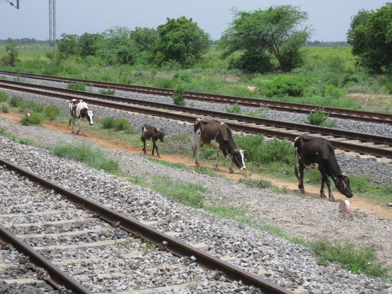 Die Karawane zieht weiter ...