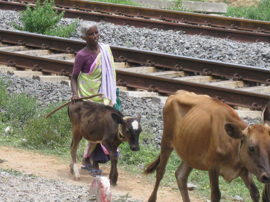 ... die Hirtin hat (möglicherweise) Durst!