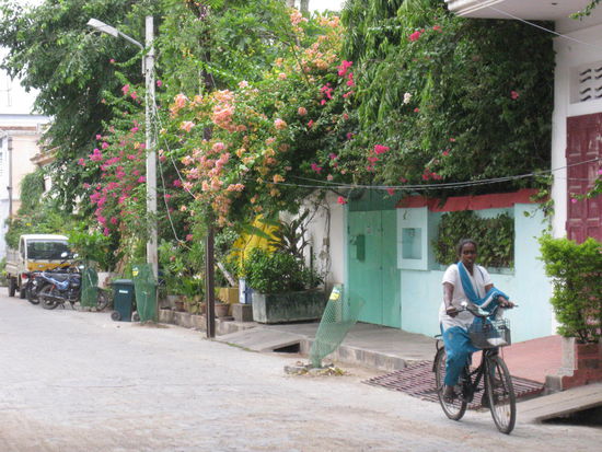 Indien mal müllfrei 