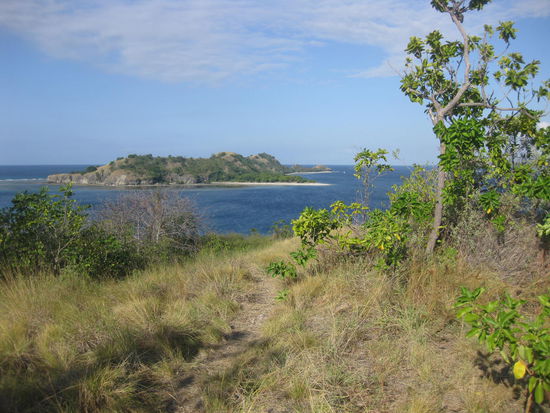 Blick vom Insel"berg"