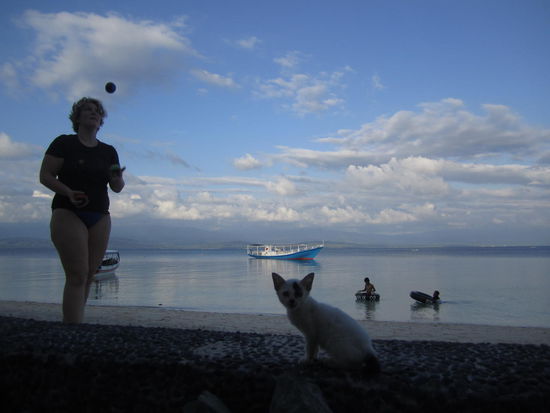 Jonglage mit Babykatze und vier Bällen